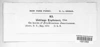 Image Associated With the Occurence